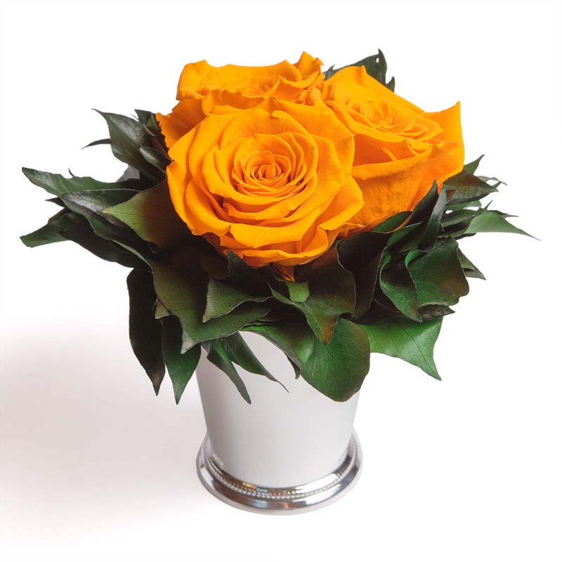 ROSEMARIE SCHULZ Heidelberg Infinity Flower in Silver Cup 3 Preserved