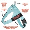 BULLHUG Adjustable Dog Harness– No Pull, No Choke – for