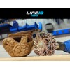 LINE10 Tools 5 Pieces 4 Inch Sanding Mop Kit, Moulding