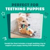 Webbox Gerald the Goat - Plush & Squeaky Dog Toy