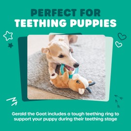 Webbox Gerald the Goat - Plush & Squeaky Dog Toy with Puppy Teething Ring