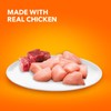 Iams Healthy Enjoyment Dry Cat Food Chicken & Beef Recipe,