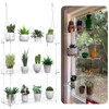 3-Tier Hanging Clear Plant Shelves for Windows, Acrylic Window Wall