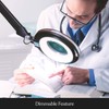 Brightech Lightview Pro Magnifying Glass with Stand & Light, Magnifying