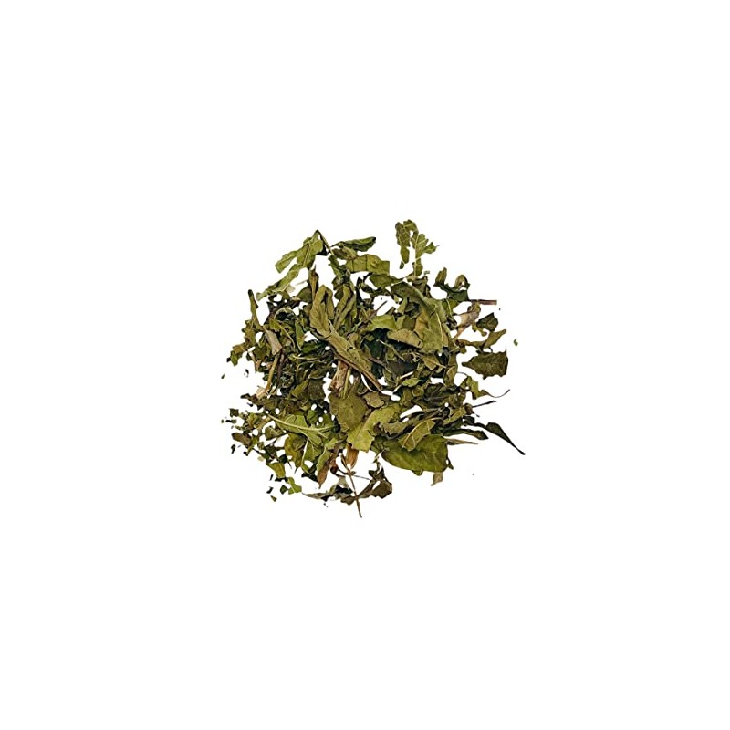 Tronadora Tea 3 oz, Yellow Elder, Resealable Bag, Tronadora Herb,