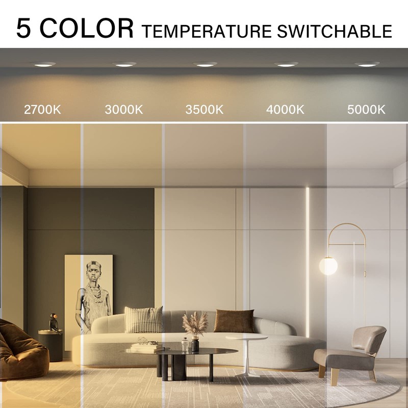 ZAGO Black 6 Inch LED Disk Light: Surface Mount Low