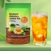 NalLife Soursop Leaves Tea pack of 40 Tea Bags