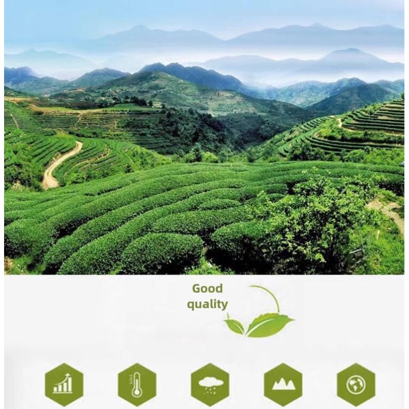 Oolong Tea 8.81oz /250g（30Bags）Phoenix Dancong （Honey Orchid Aroma）Chao Zhou Feng