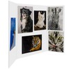 Trifold Poster Board Foam Core 24 x 36 x 3/16"(5mm)