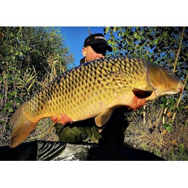 Tandem Baits Carp Feed Fishing Food Hook Pellets SuperFeed Hook Fatty Pellet 20 mm 150 g Fish&Robin Red