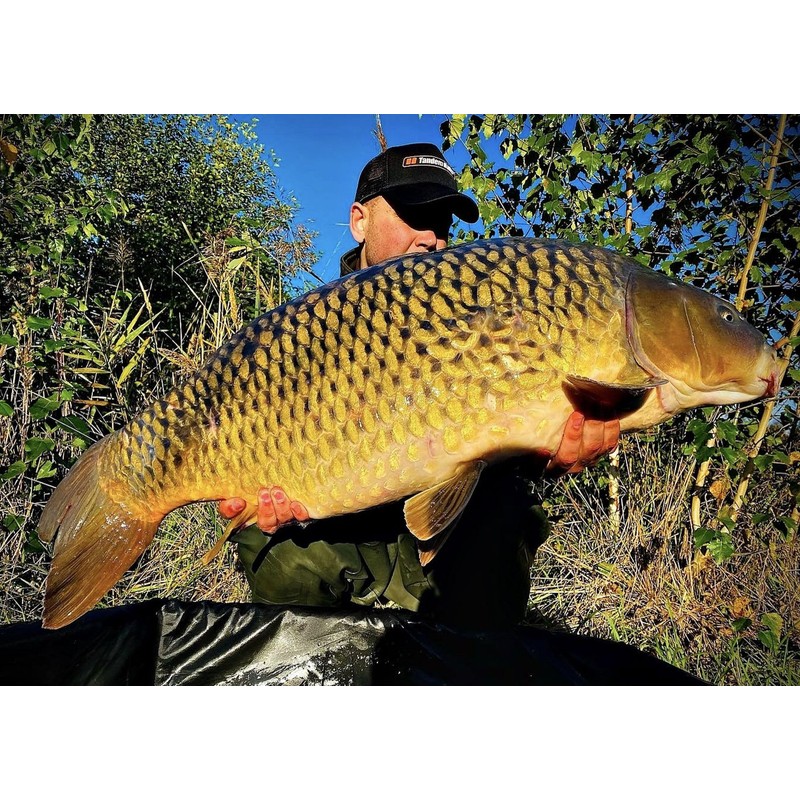 Tandem Baits Carp Feed Fishing Food Hook Pellets SuperFeed Hook