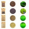 4 Pack Aquarium Plant S.e.e.ds, no Artificial Plastic Plant, Fish