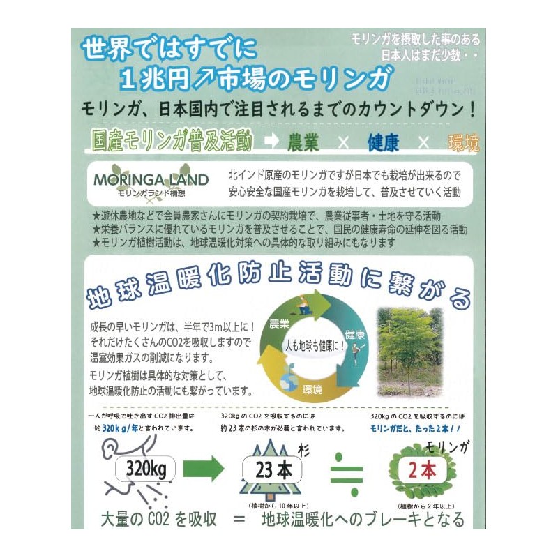 [モリンガ習慣] 100％国産 モリンガ 粉末 2g×30本【工場殺菌済】青汁 モリンガ本来の味