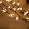 Tybeeu 5ft Lighted Cherry Blossom Tree with 184 Warm White