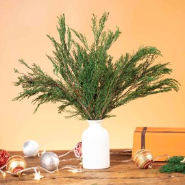 Tavkite 4OZ Preserved Real Pine Leaves Branches -17'' Natural Greenery Plants Twigs Stems Pine Needles Evergreen Picks for Garland Wreath Xmas Wedding Home Party Decor Indoor Outdoor Decoration