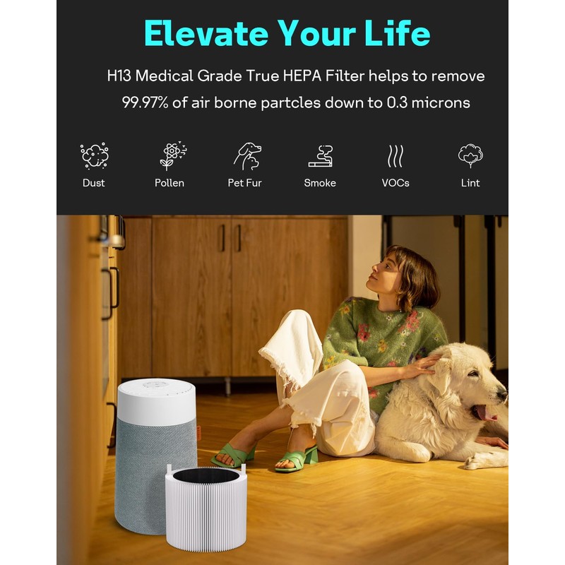 Leemone 4 Pack FMINI Filter Replacement Compatible with Blueair Blue