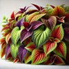 22Day Seeds: Seeds Coleus Variety Mix/Annual Flowers