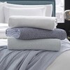 Sferra Terzo 100% Brushed Cotton Throw - Sand/White