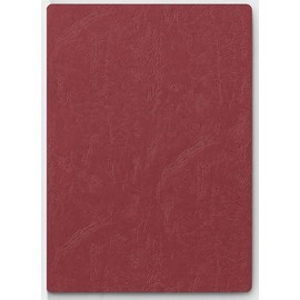 Pagna 22003 Presentation Folder Sprint, Set of 3, Red