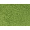 Kahoruen Commercial Grade Gyokuro Powder (Powdered Tea) 100% 17.6 oz