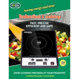 PORTABLE INDUCTION COOKTOP