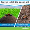 Advion Ant Gel Station - Effective Indoor & Outdoor Ant
