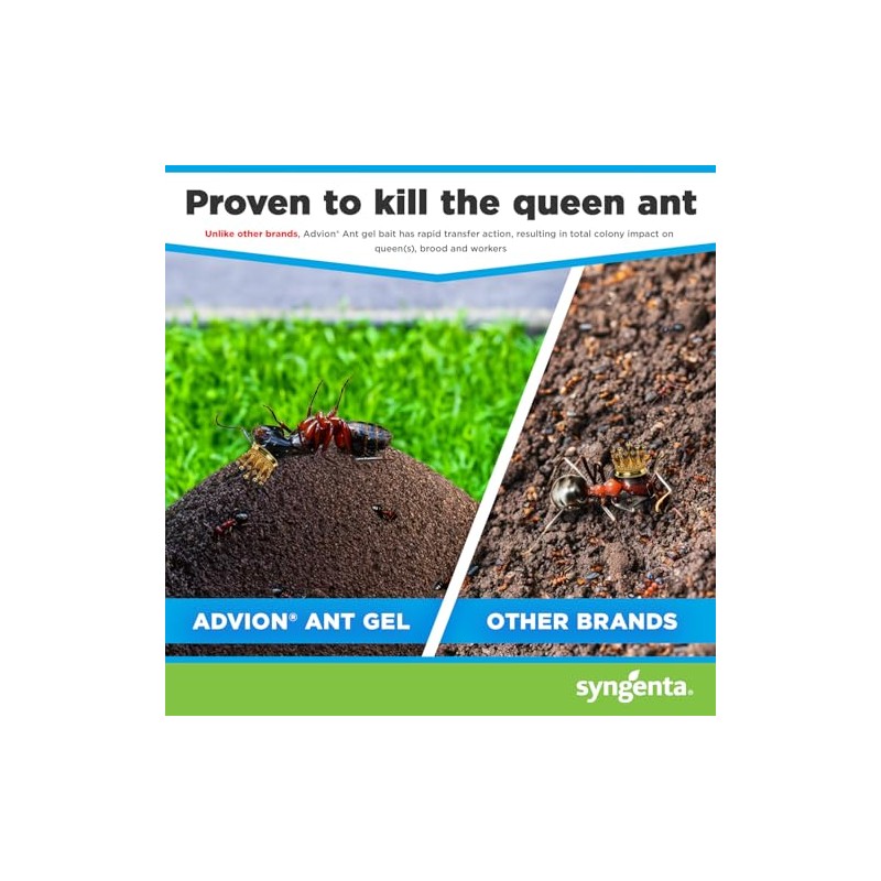Advion Ant Gel Station - Effective Indoor & Outdoor Ant
