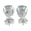 Starborn Pendientes hechos en plata de ley azul