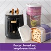 Buddeez Bread Buddy for Small Specialty Loaves, Bread Box, Bread