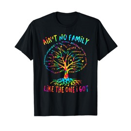 Ain't No Family Like The One I Got Matching Family Reunion T-Shirt