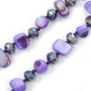 Avalaya Two Row Purple Shell Nugget and Violet Glass Crystal