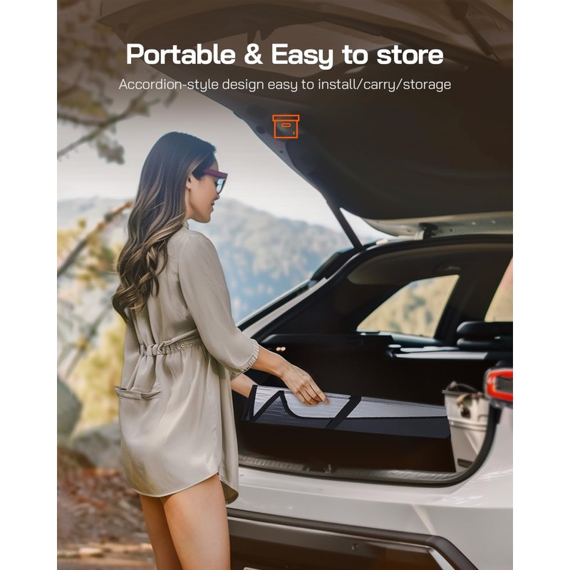 Pigenius Car Windshield Sun Shade for 2014-Present Ram Promaster,Car Window