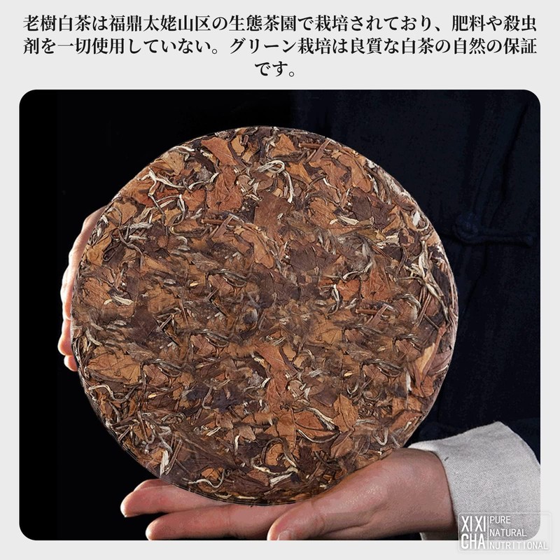 XIXICHA White Tea, White Tea Mochi, 10.6 oz (300 g),