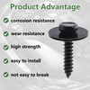 Bemaka 30Pcs M4.2 Automotive Body Bolt & U-Nut Clips Kit,