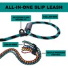 Slip Lead Dog Leash Made in The USA | All