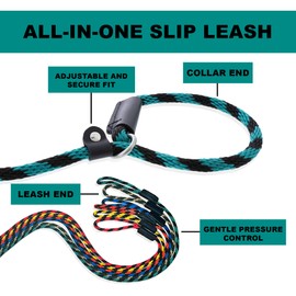 Slip Lead Dog Leash Made in The USA | All in One No Pull Dog Leash and Collar with Adjustable Loop | 3/8” Thick for Small Dogs 6 FT (Teal Green)