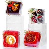 SLShePack 25Pack 5x5x2Inches Clear Bakery Boxes Chocolate Covered Strawberry Boxes