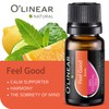 O'linear Essential Oils 6 Blends Set - Perfect for Humidifiers