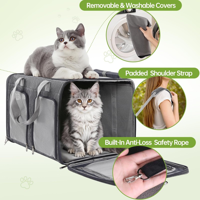TOYSBOOM Cat Carrier for 2 Cats - Double Pet Carrier