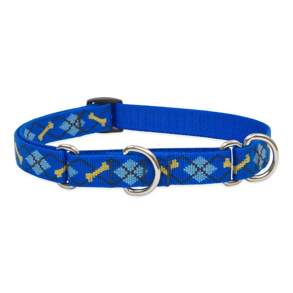 LupinePet Originals 3/4" Dapper Dog 10-14" Martingale Collar for Small Dogs