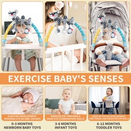 Black and White Baby Stroller Arch Toys with Stretch & Spiral Hanging Activity Set, Adjustable Clamp for Strollers, Cribs & Car Seats, Includes Rattles, Squeaker & Teether (01)