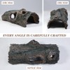 fazhongfa Reptile Hide Tree Trunk Lizard Snake Gecko Axolotl Spider