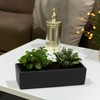 WGVI Long Rectangle Ceramic Planter Vase in Black 14" x