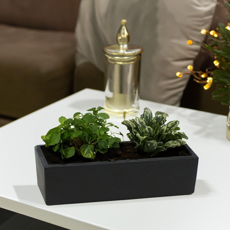 WGVI Long Rectangle Ceramic Planter Vase in Black 14" x