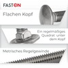 Faston Flat Round-Head Screws, Stainless Steel A2 V2A (10 Pieces),