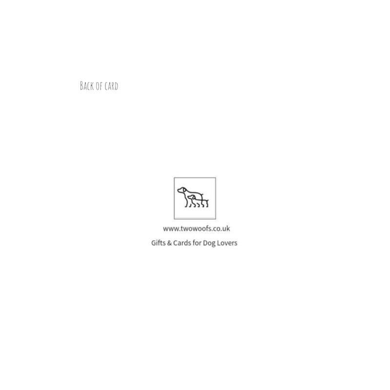 Single Luxury Border Terrier Christmas Card (BAU)