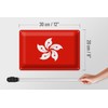 FEMER Blechschild Flagge Hongkong 30x20cm Flag of Hong Kong
