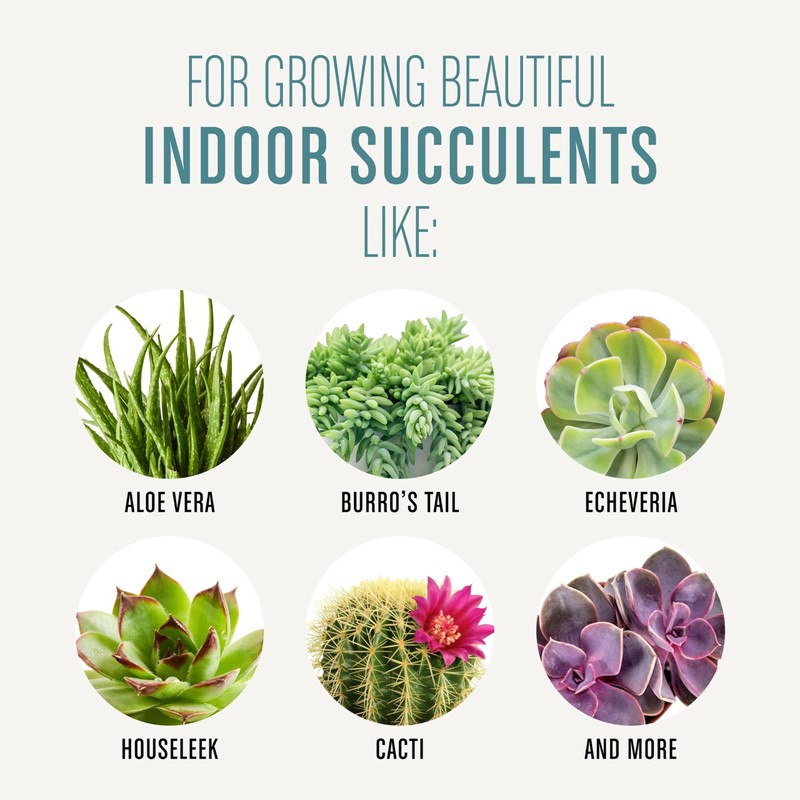 Miracle-Gro Succulent Potting Mix, For Indoor Succulents, Aloe Vera and