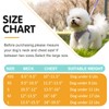 TomteNisse Dog Harness & Leash Set - No Pull Soft