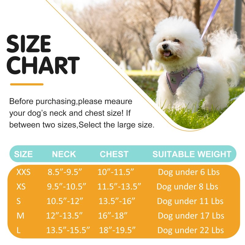 TomteNisse Dog Harness & Leash Set - No Pull Soft